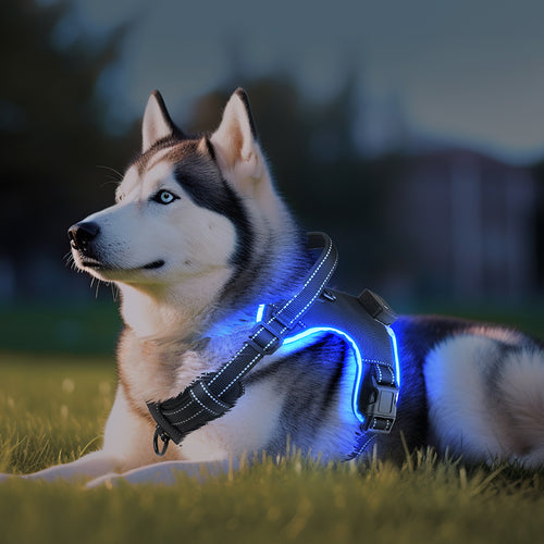 Arnés LED ergonómico reflectante para perros