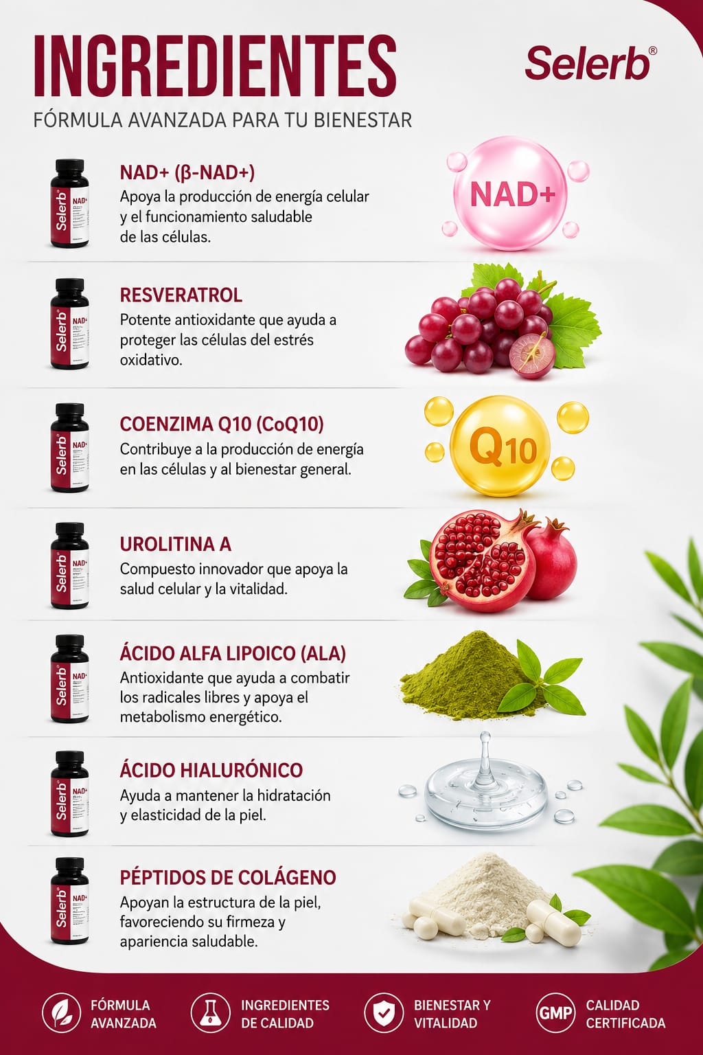 Selerb NAD+ for Woman ingredientes